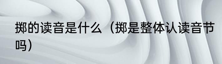 掷的读音是什么（掷是整体认读音节吗）