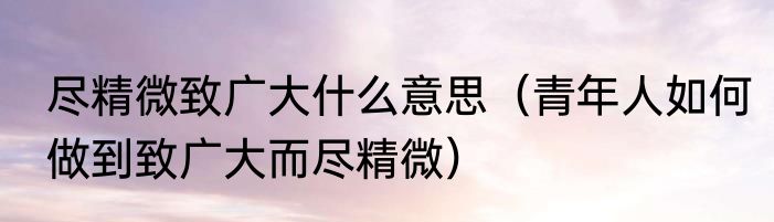 尽精微致广大什么意思（青年人如何做到致广大而尽精微）
