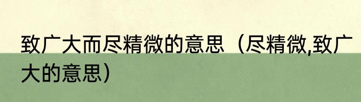 致广大而尽精微的意思（尽精微,致广大的意思）