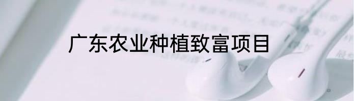 广东农业种植致富项目