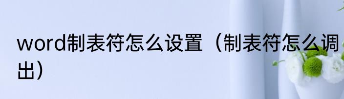word制表符怎么设置（制表符怎么调出）