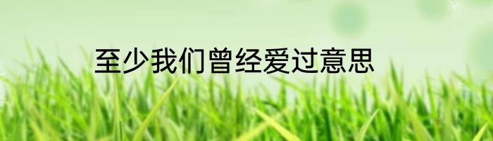 至少我们曾经爱过意思