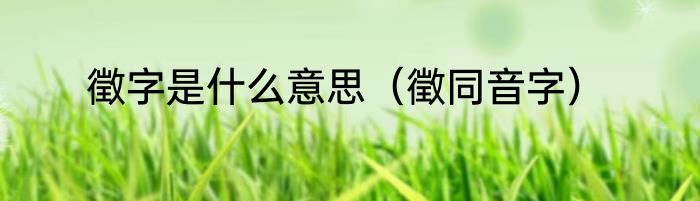 徵字是什么意思（徵同音字）