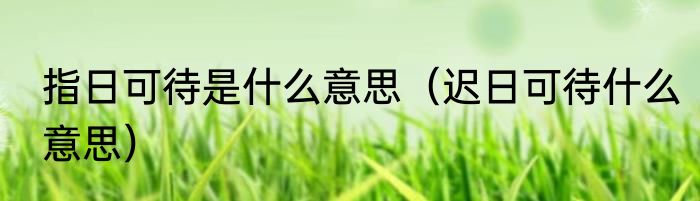 指日可待是什么意思（迟日可待什么意思）