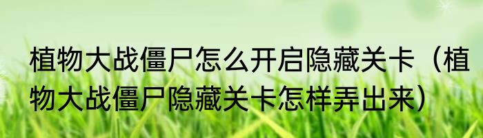 植物大战僵尸怎么开启隐藏关卡（植物大战僵尸隐藏关卡怎样弄出来）