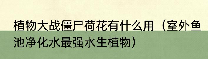 植物大战僵尸荷花有什么用（室外鱼池净化水最强水生植物）