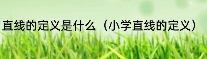 直线的定义是什么（小学直线的定义）