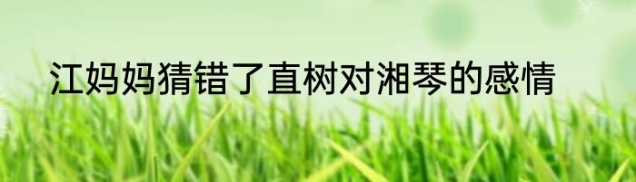 江妈妈猜错了直树对湘琴的感情