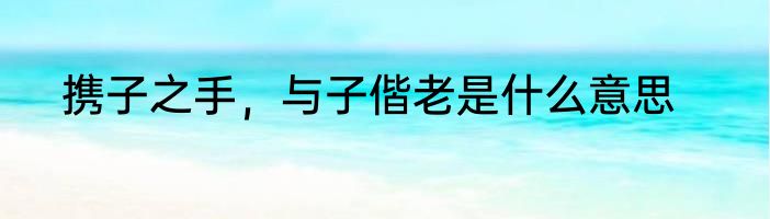 携子之手，与子偕老是什么意思