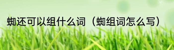 蜘还可以组什么词（蜘组词怎么写）