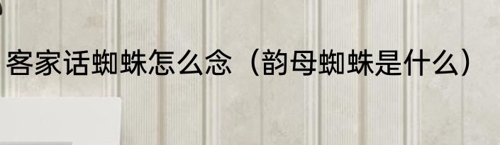 客家话蜘蛛怎么念（韵母蜘蛛是什么）