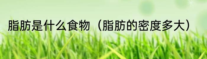 脂肪是什么食物（脂肪的密度多大）