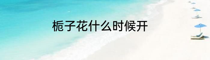 栀子花什么时候开