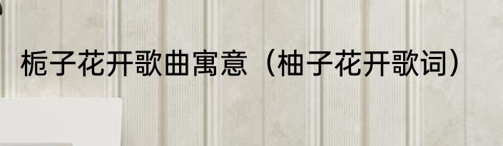 栀子花开歌曲寓意（柚子花开歌词）