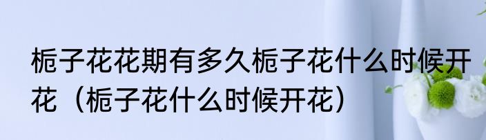 栀子花花期有多久栀子花什么时候开花（栀子花什么时候开花）