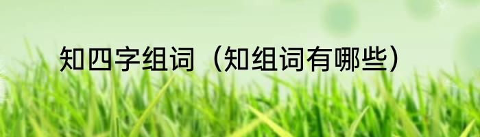知四字组词（知组词有哪些）