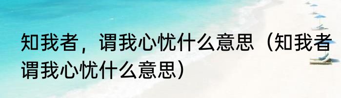 知我者，谓我心忧什么意思（知我者谓我心忧什么意思）