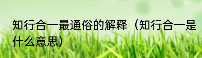 知行合一最通俗的解释（知行合一是什么意思）