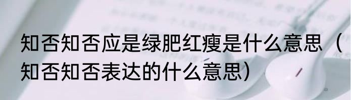 知否知否应是绿肥红瘦是什么意思（知否知否表达的什么意思）