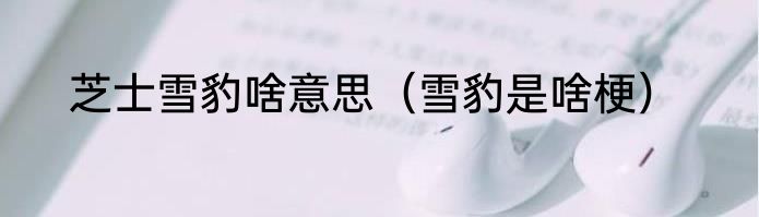 芝士雪豹啥意思（雪豹是啥梗）