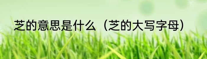 芝的意思是什么（芝的大写字母）