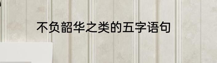 不负韶华之类的五字语句