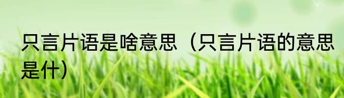 只言片语是啥意思（只言片语的意思是什）