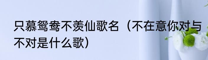 只慕鸳鸯不羡仙歌名（不在意你对与不对是什么歌）