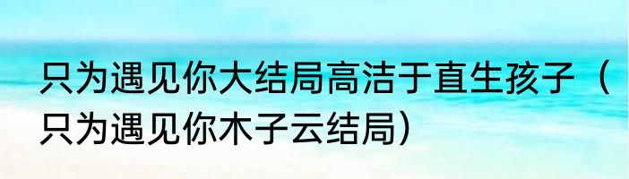 只为遇见你大结局高洁于直生孩子（只为遇见你木子云结局）