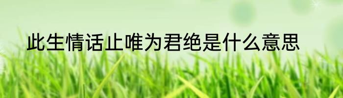 此生情话止唯为君绝是什么意思