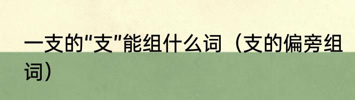 一支的“支”能组什么词（支的偏旁组词）