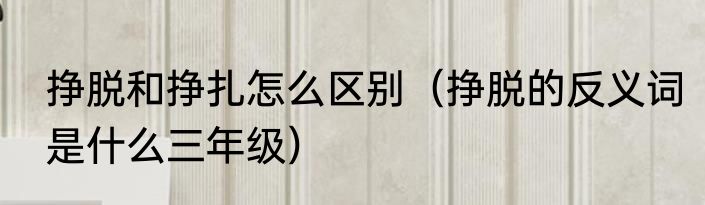 挣脱和挣扎怎么区别（挣脱的反义词是什么三年级）