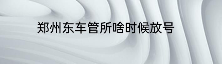 郑州东车管所啥时候放号