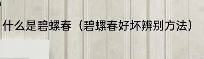 什么是碧螺春（碧螺春好坏辨别方法）