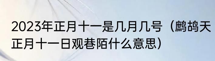 2023年正月十一是几月几号（鹧鸪天正月十一日观巷陌什么意思）
