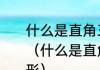 什么是直角三角形什么是直角三角形（什么是直角三角形什么是直角三角形）
