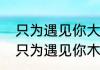 只为遇见你大结局高洁于直生孩子（只为遇见你木子云结局）