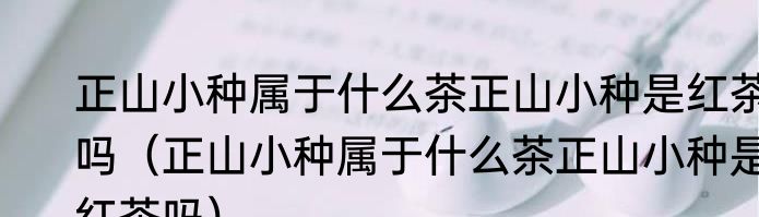 正山小种属于什么茶正山小种是红茶吗（正山小种属于什么茶正山小种是红茶吗）