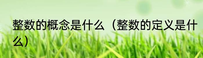 整数的概念是什么（整数的定义是什么）