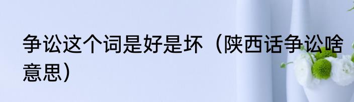 争讼这个词是好是坏（陕西话争讼啥意思）