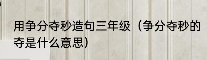 用争分夺秒造句三年级（争分夺秒的夺是什么意思）