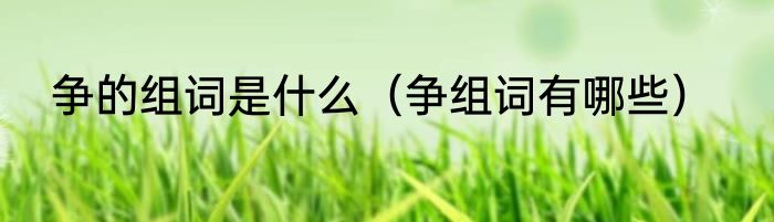 争的组词是什么（争组词有哪些）