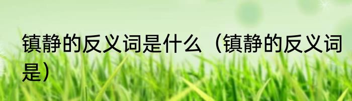 镇静的反义词是什么（镇静的反义词是）