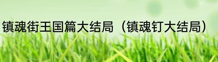 镇魂街王国篇大结局（镇魂钉大结局）