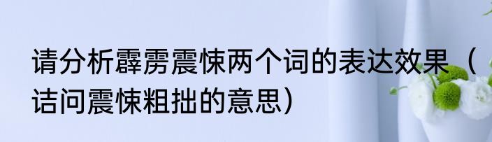 请分析霹雳震悚两个词的表达效果（诘问震悚粗拙的意思）