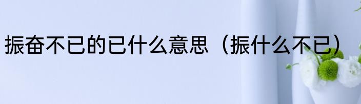 振奋不已的已什么意思（振什么不已）