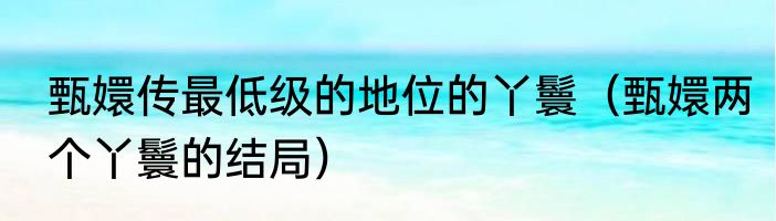 甄嬛传最低级的地位的丫鬟（甄嬛两个丫鬟的结局）