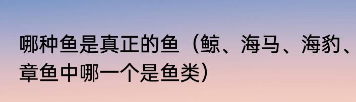 哪种鱼是真正的鱼（鲸、海马、海豹、章鱼中哪一个是鱼类）