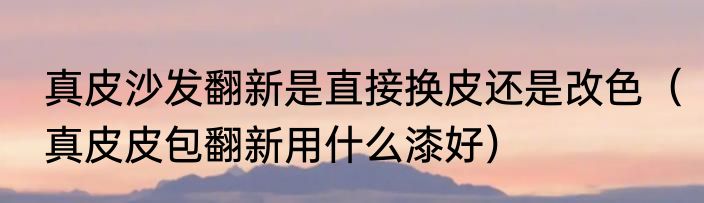 真皮沙发翻新是直接换皮还是改色（真皮皮包翻新用什么漆好）