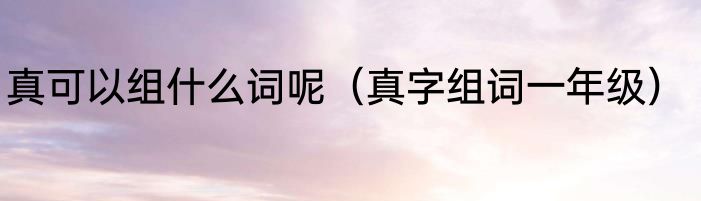 真可以组什么词呢（真字组词一年级）